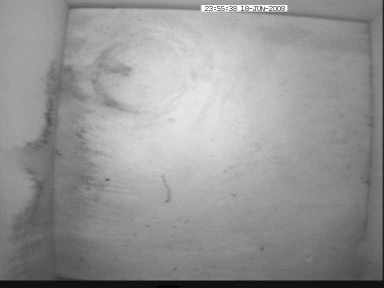 This is a view inside the birdbox at BBC Leeds