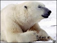 Manifestação do Greenpeace no centro de Buenos Aires