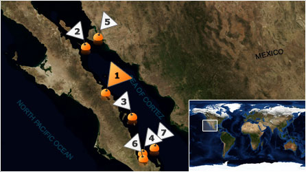 Dive map - Sea of Cortez - Site 1