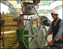 ماشين نيشکر