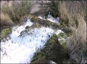 عکس از فرشاد