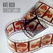 Review of Director's Cut Review of Director's Cut