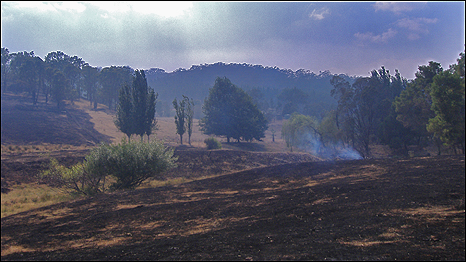 South Australian landscape devastated by bushfires