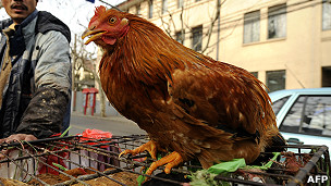 上海某路边摊贩在售卖的鸡（资料图片）