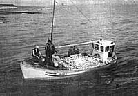 A fishing boat close to submerginf under the weight of the catch