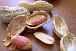 Peanuts in their shells
