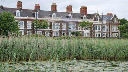 Cardiff Bay Wetlands Reserve