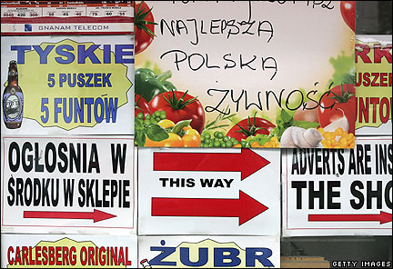 Polish adverts in a west London shop window