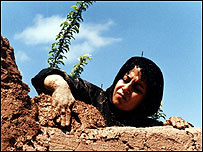 کافه ترانزيت