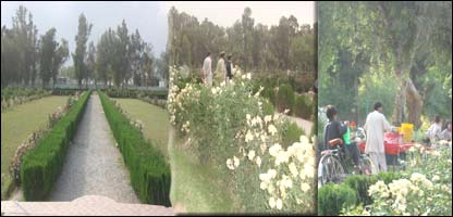 دفارم هډې پارک