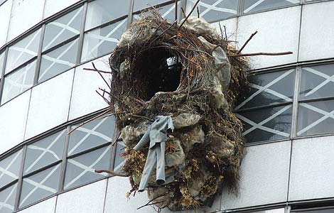 The empty (?) nest on the Rotunda