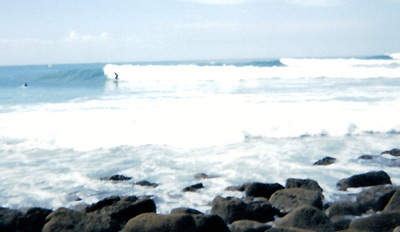 wounded rat bottom turn