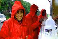 Torri syched - Risolat.