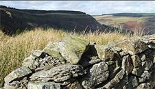 An old stone boundary wall