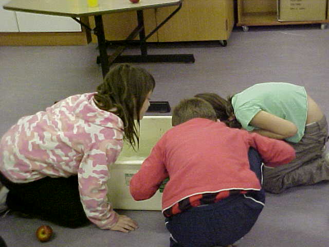 sticking our heads in for dookin