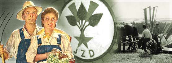 Kolektivizace českého venkova