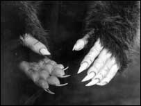 Wolf hands