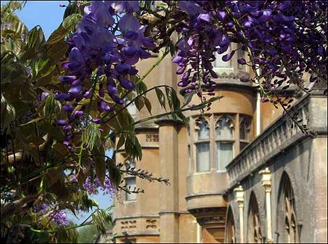 Tyntesfield May '08 - picture by Glyn Marsh