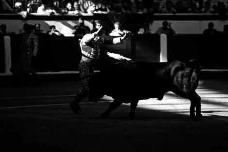 A Spanish bullfighter