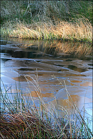 Burrator by Paul Mingo
