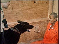 ٹارچر کی نئی تصاویر(بشکریہ واشنگٹن پوسٹ)