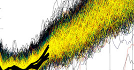 Detail from results graph