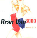 Bran Van 3000