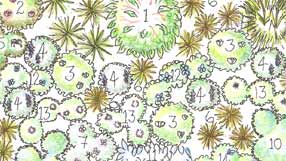 takeaway design idea from The Sdolin Refresh and Revive Garden