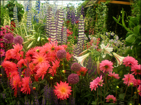 Chelsea Flower Show 2008
