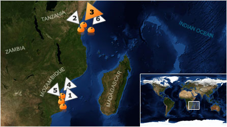 Dive map - Indian Ocean - Site 3