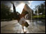 Street Dance