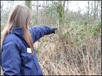 Laura points to the spot where the owl was spotted
