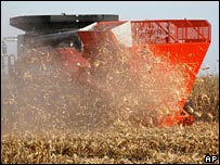 Corn harvested for bio-ethanol in the United States