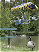 Canadian goose and chairlift at Pleasurewood Hills