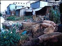 سہولتوں سے محروم آبادی