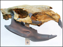 Roedor (ilustração)