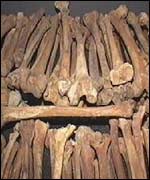 A pile of bones belonging to the victims of the genocide