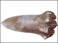 بمب ای اف پی