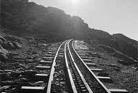 Poster yr Ŵyl ffilmiau