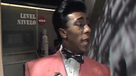 The Cat Investigates Red Dwarf