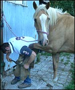 Shoe fitted, it's time to get the nail file out