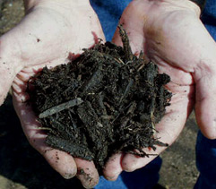 Mulch
