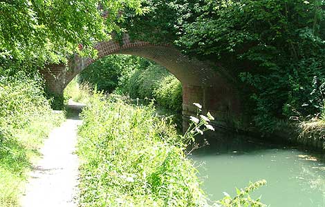 Basingstoke Canal 