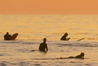 the lineup - getty images