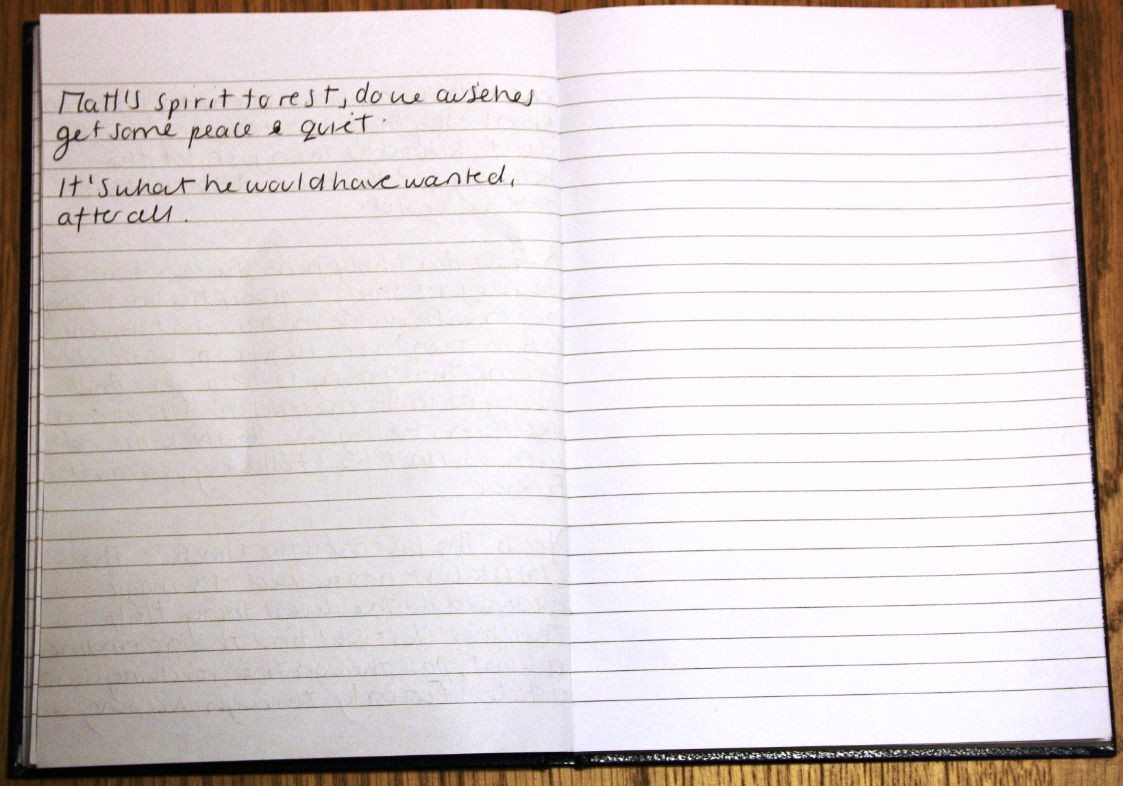 Christa's Pros and Cons Diary Entry Part 3