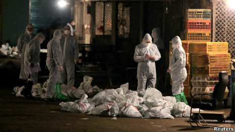 上海批发市场(5/4/2013)