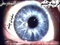 راز چشم ها