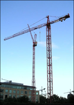Cranes over Newcastle. Photo: Jackie King