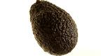 An avocado