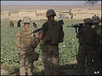 سربازان بریتانیایی در کنار یک مزرعه خشخاش در گرمسیر